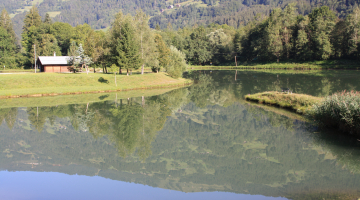 Etang de Marcôt