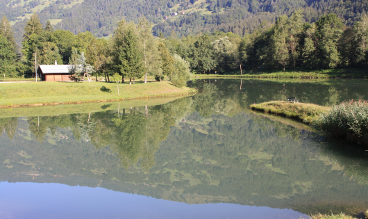 Etang de Marcôt