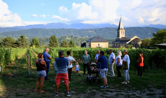 Dégustation de Vins de Savoie