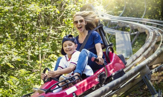 Descente en luge sur rails