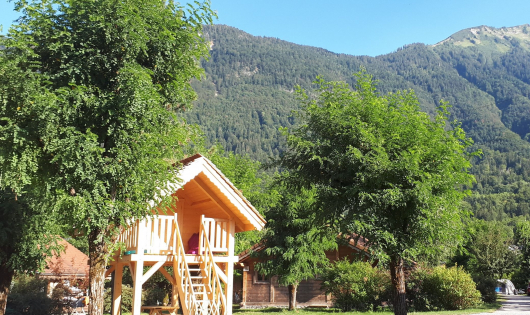 chalet entouré d'arbres