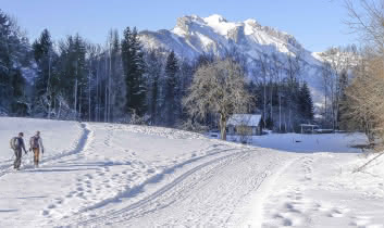 piste de ski nordique