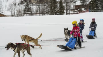 Dog sledding for kids