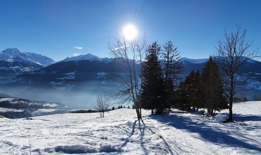 Fabulous view of La Plagne from the winter activity area at Granier