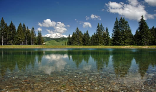 Lac du Mont-Lachat - Crest-Voland