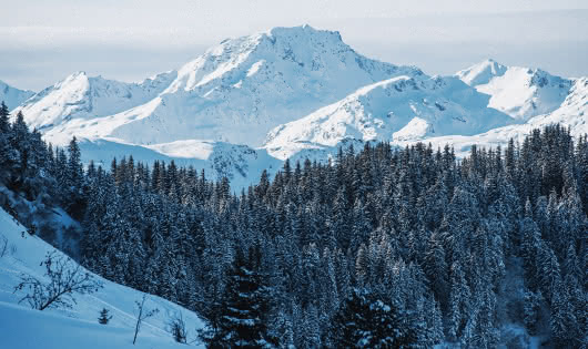 Paysage de montagne avec sapins et neige