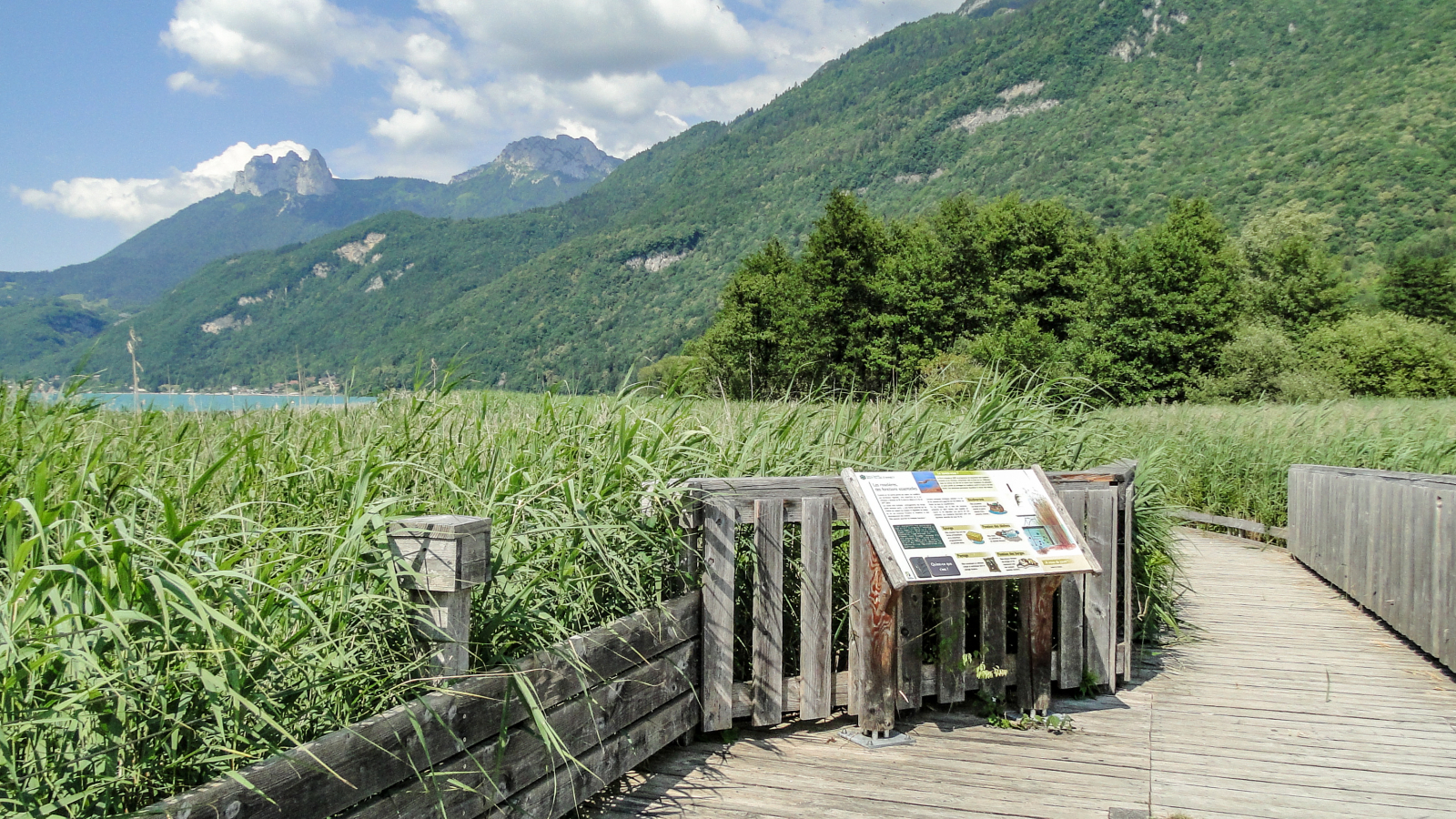 Panneau de signalisation de la réserve du Bout du lac d'Annecy à Doussard - vue sur les Dents de Lanfon