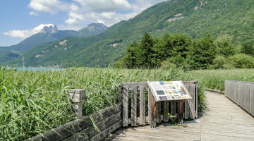 Panneau de signalisation de la réserve du Bout du lac d'Annecy à Doussard - vue sur les Dents de Lanfon