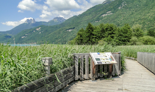 Panneau de signalisation de la réserve du Bout du lac d'Annecy à Doussard - vue sur les Dents de Lanfon