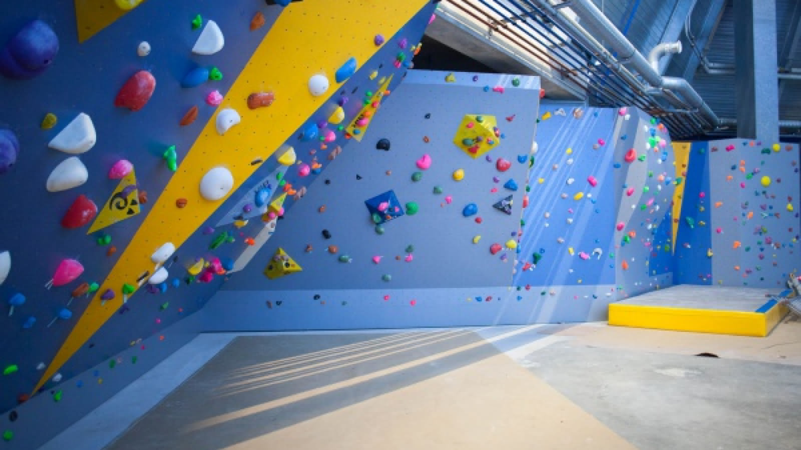 Mur d'escalade – Halle Olympique | Pays d'Albertville