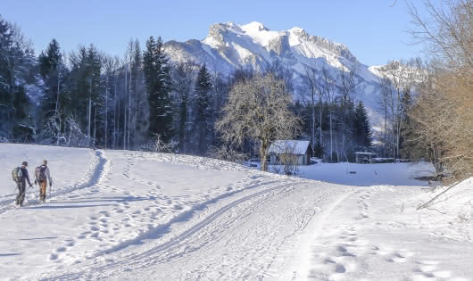 Piste de ski de fond Val de Tamié