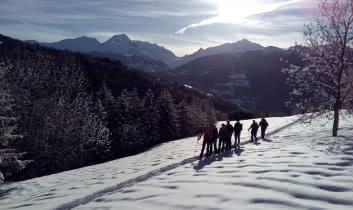 Een groep sneeuwschoenwandelaars in de stralende zon