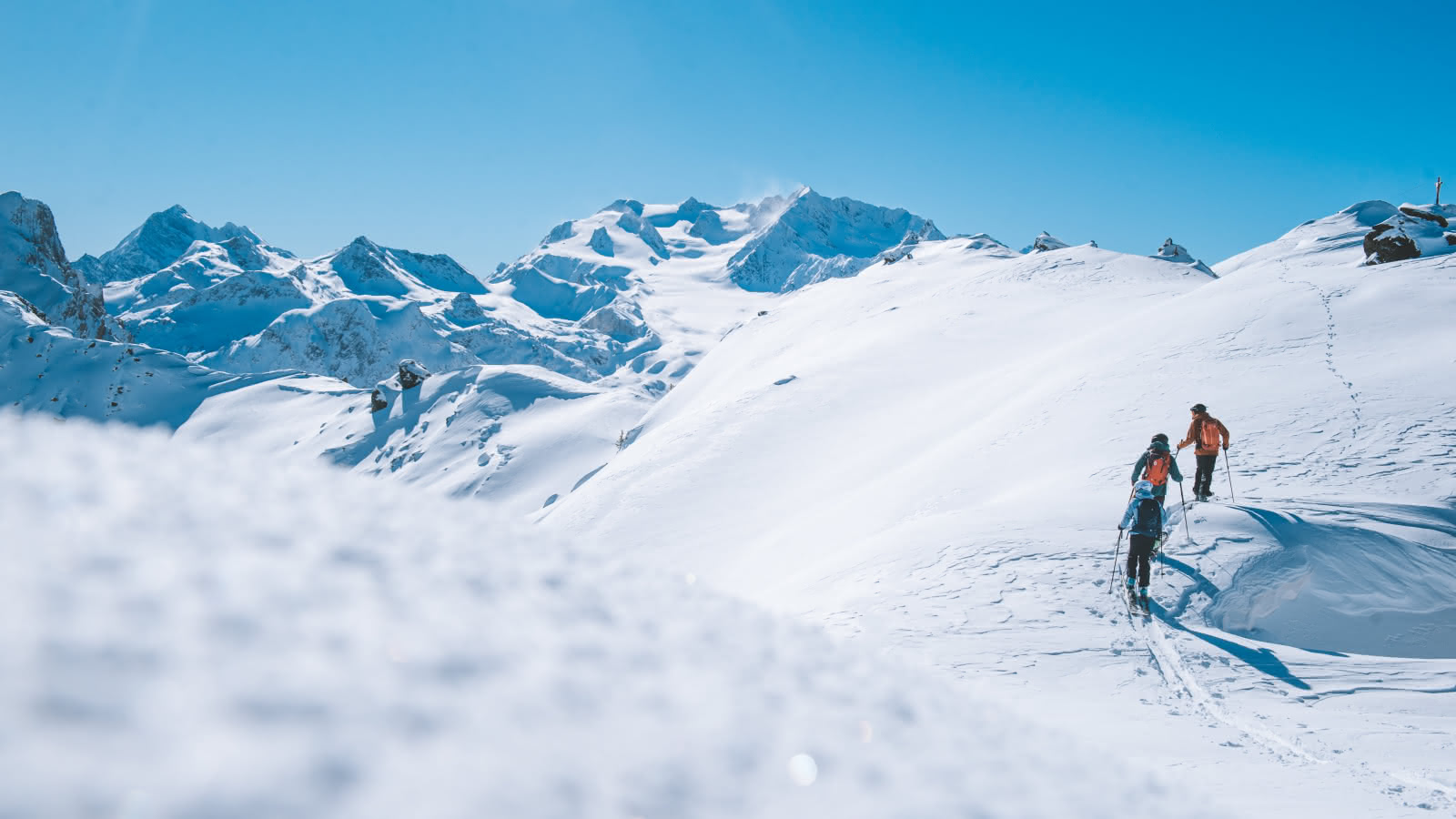 3 skieurs pratiquent le ski de randonnée en journée dans sur une piste des 3 vallées